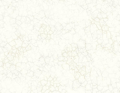 product image of Alchemy Wallpaper in Gold and Cream from the Transition Collection by Mayflower Wallpaper 530
