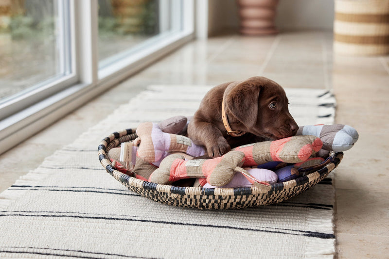 media image for ashi dog toy cherry red taupe 5 216