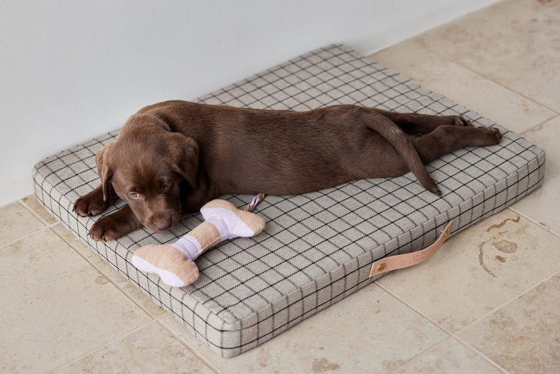 media image for ashi dog toy lavender amber 7 278