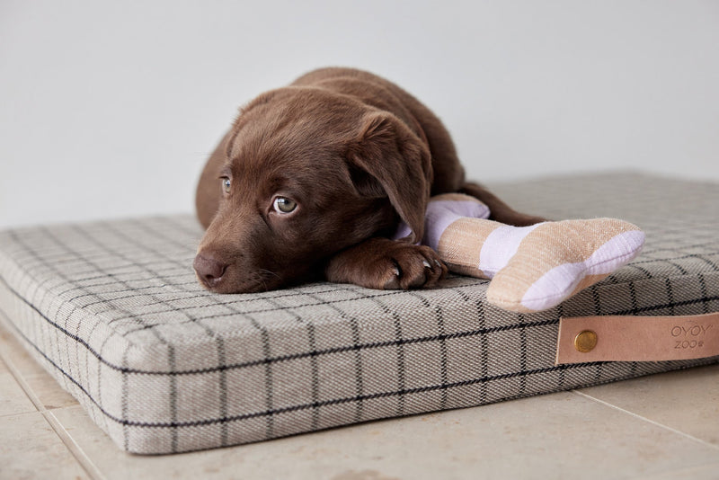 media image for ashi dog toy lavender amber 6 245