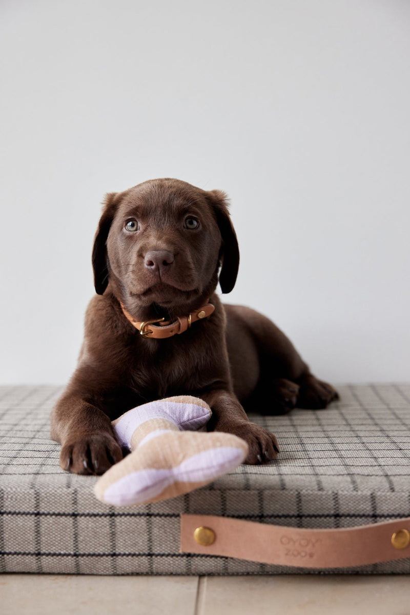 media image for ashi dog toy lavender amber 5 238