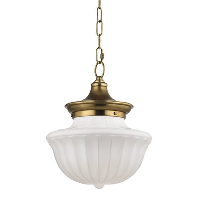 product image of Dutchess 1 Light Medium Pendant by Hudson Valley Lighting 554