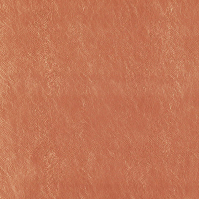 product image of Beauty Fabric in Orange/Rust 567