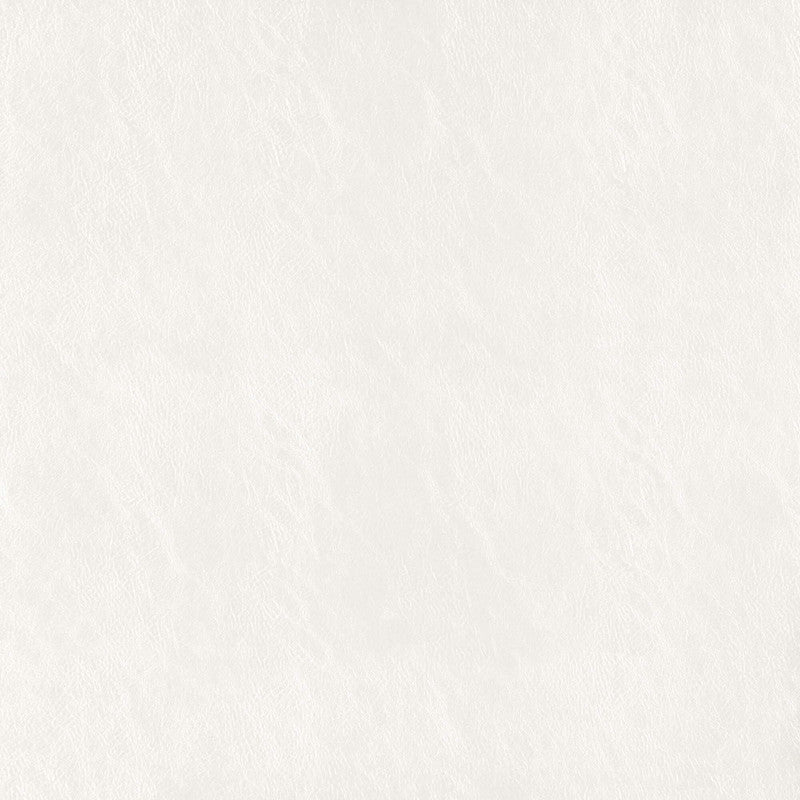 media image for Sample Beauty Fabric in Creme/Beige 262