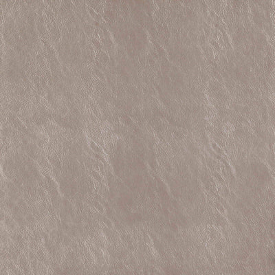 product image of Sample Beauty Fabric in Taupe 510