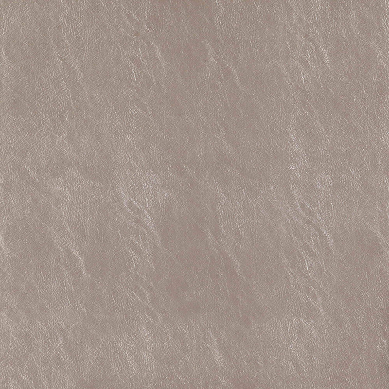 media image for Sample Beauty Fabric in Taupe 261