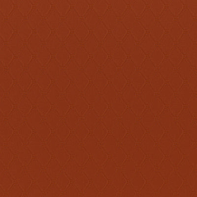product image of Sample Bejewel Fabric in Terracotta 565