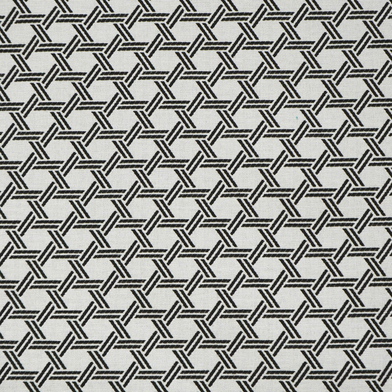 media image for Sample Brooklyn Fabric in Black 230