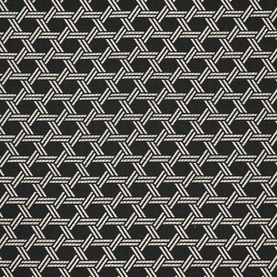 product image of Sample Brooklyn Fabric in Black 576
