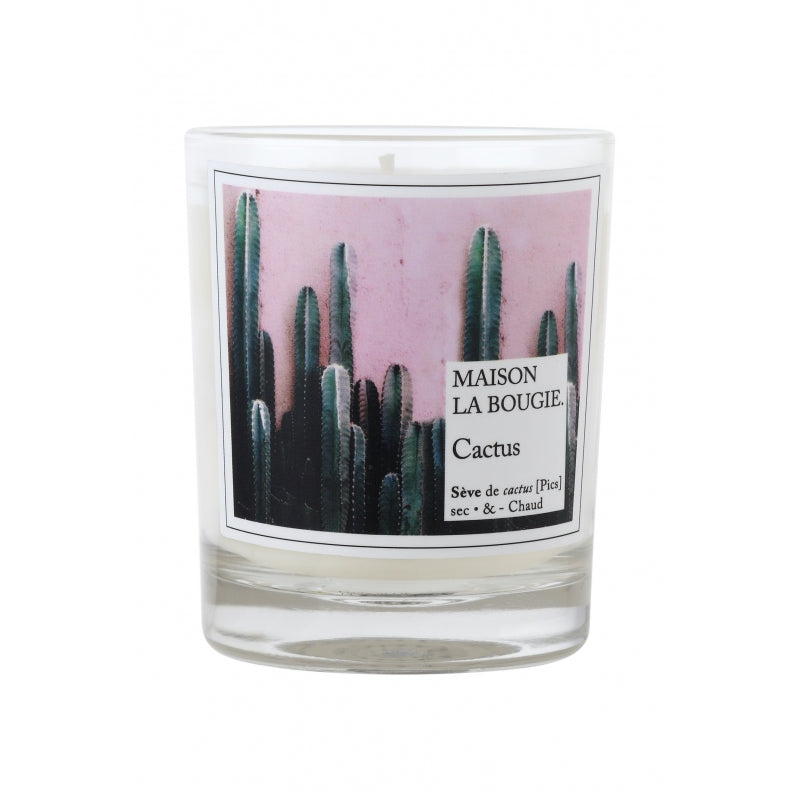 media image for cactus scented candle 1 259