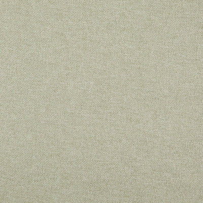 product image for Carmen Fabric in Light Sage 97