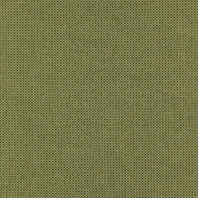 product image of Chief Fabric in Green 598