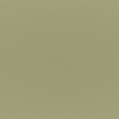 product image of Sample Cricket Fabric in Green 566