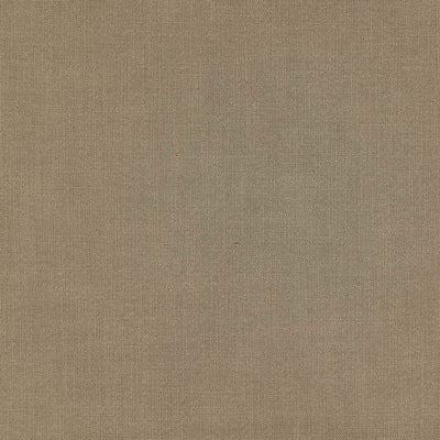 product image of Sample Daring Fabric in Green 591