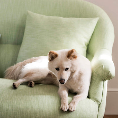 product image for Dover Fabric in Lime Green 40