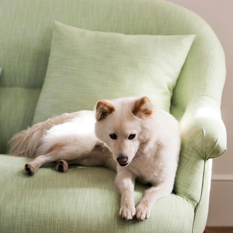 media image for Dover Fabric in Lime Green 211