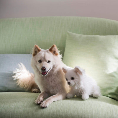 product image for Dover Fabric in Lime Green 24