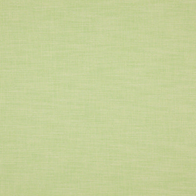 product image of Sample Dover Fabric in Lime Green 516