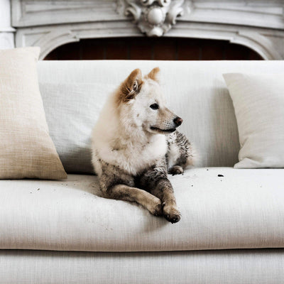 product image for Dover Fabric in Mauvish Grey 7