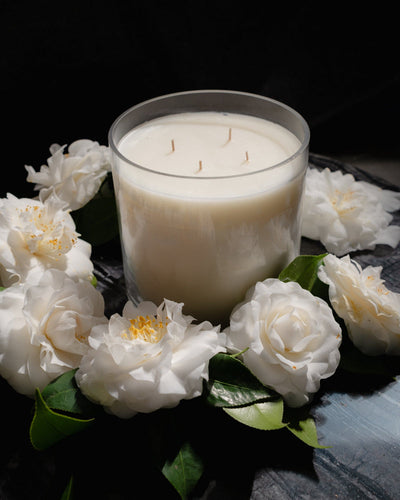 product image for Gardenia Candle 6X6 D N84Gejx 3 38