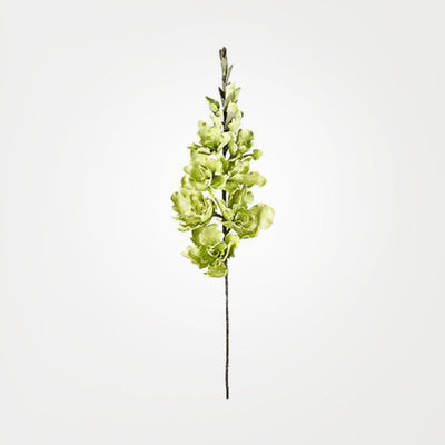 product image of desert gladiolus 14 bloom 50 stem in green design by torre tagus 1 533
