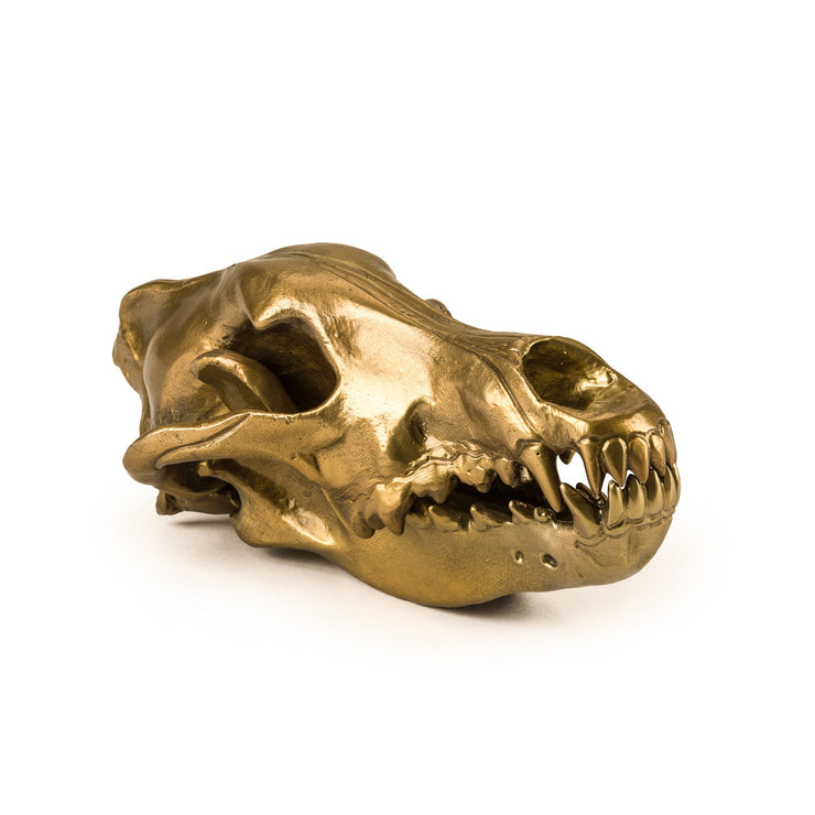Wolf Skull design by Seletti