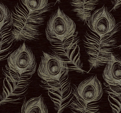 product image of Regal Peacock Wallpaper in Black 533