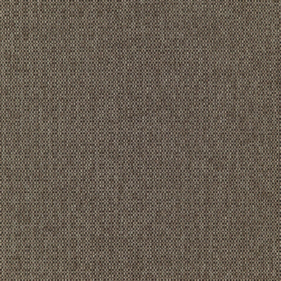 product image of Fierce Fabric in Brown 599