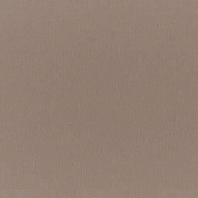 product image of Sample Firefly Fabric in Rosewood 599
