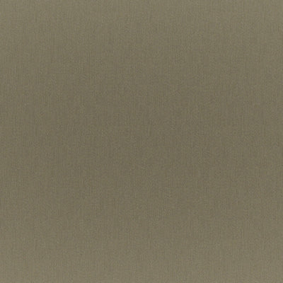 product image of Sample Firefly Fabric in Moss Green 579