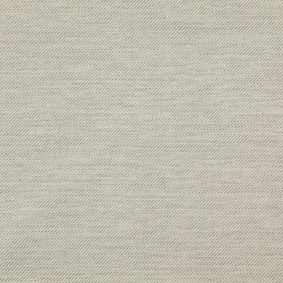 product image of Firm Fabric in Grey/Silver 584