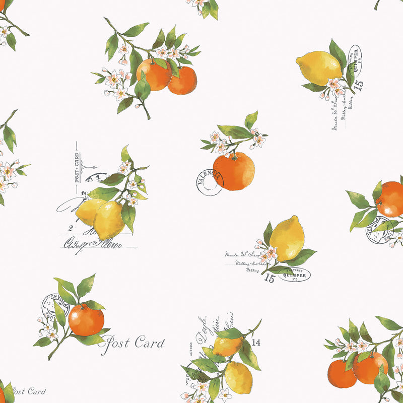 media image for sample citrus toss orange green wallpaper from the just kitchens collection by galerie wallcoverings 1 290