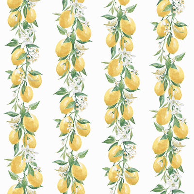 product image of sample lemon stripe yellow green wallpaper from the just kitchens collection by galerie wallcoverings 1 533