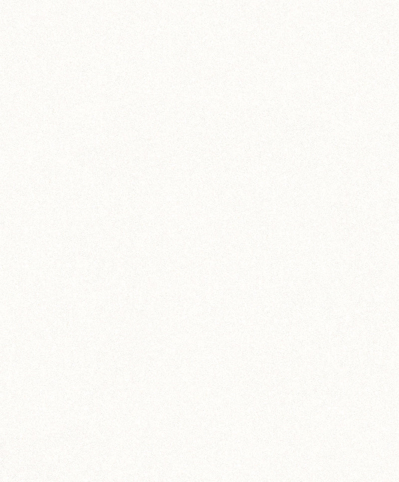 media image for Granular Structure 30422 Wallpaper by BD Wall 23