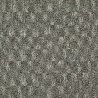 product image of Sample Hastings Fabric in Charcoal 55
