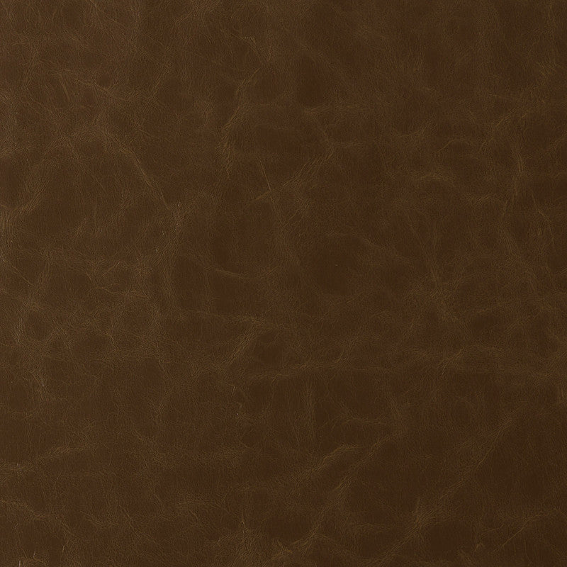 media image for Sample Howdy Fabric in Chocolate Brown 225