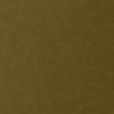 product image of Sample Howdy Fabric in Olive Green 542
