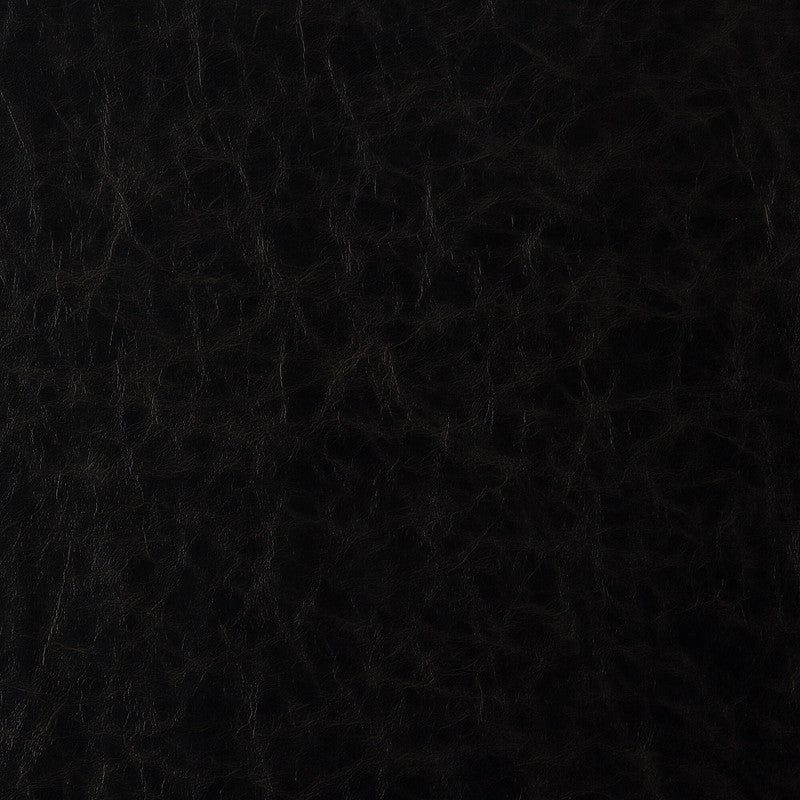 media image for Sample Howdy Fabric in Black 214