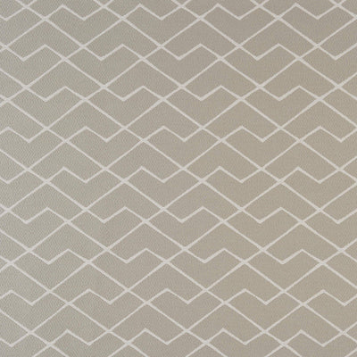 product image of Sample Insignia Fabric in Grey/White 538