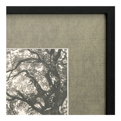 product image for Arise Framed Print Moes Home Collection Mhc Jq 1058 37 4 22