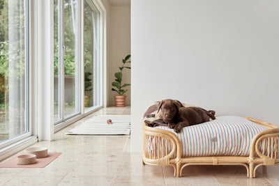 product image for kaya dog blanket small 5 99