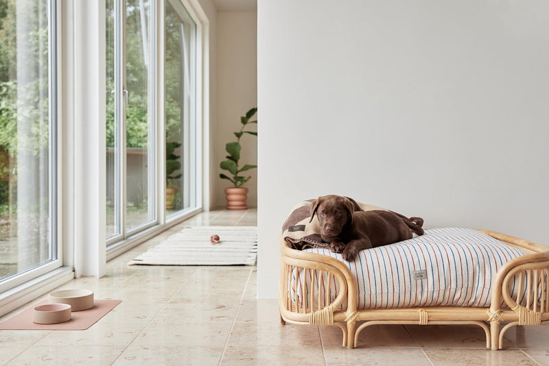 media image for kaya dog blanket small 5 217