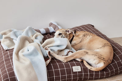 product image for kaya dog blanket small 8 17