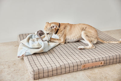 product image for kaya dog blanket small 9 3