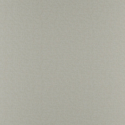 product image of Sample Midnight Fabric in Light Taupe Beige 573