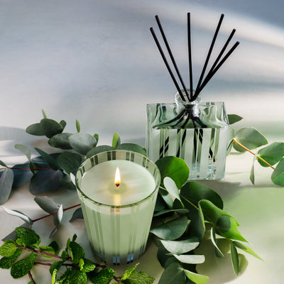 product image for wild mint eucalyptus tea and candle set 2 64