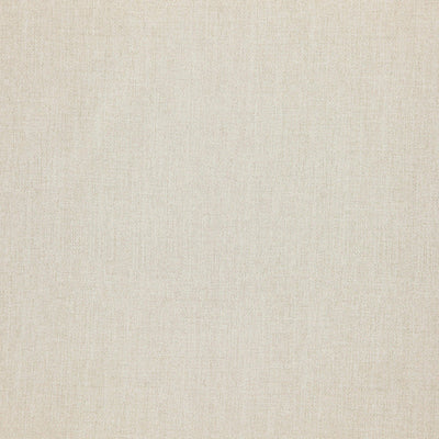 product image of Sample Nightingale Fabric in Putty 571