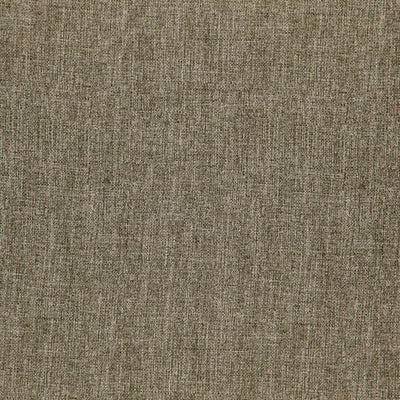 product image of Sample Nightingale Fabric in Turtle Green 554
