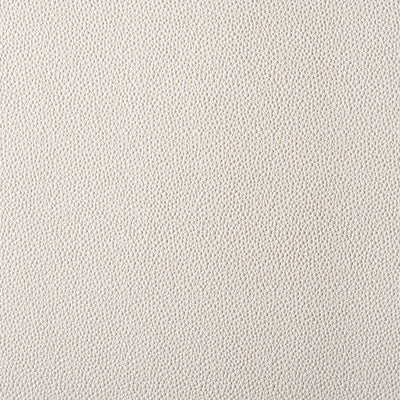 product image of Sample Outlaw Fabric in Soft Grey 512