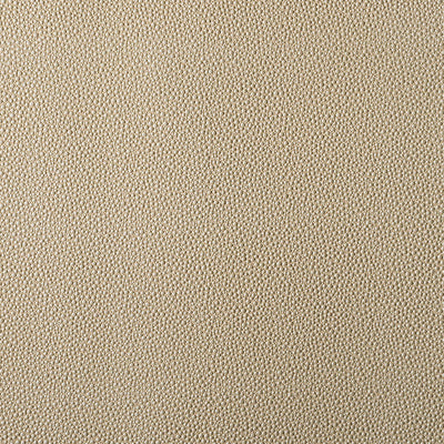 product image of Sample Outlaw Fabric in Pewter 566